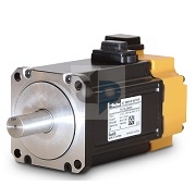 P Series Servo Motor